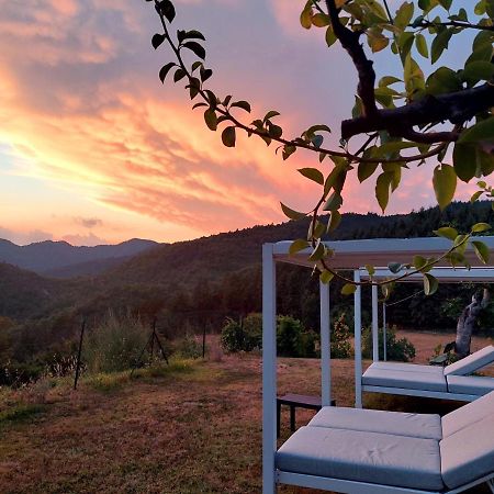 Villa Giuliana B&B Scarperia Zewnętrze zdjęcie