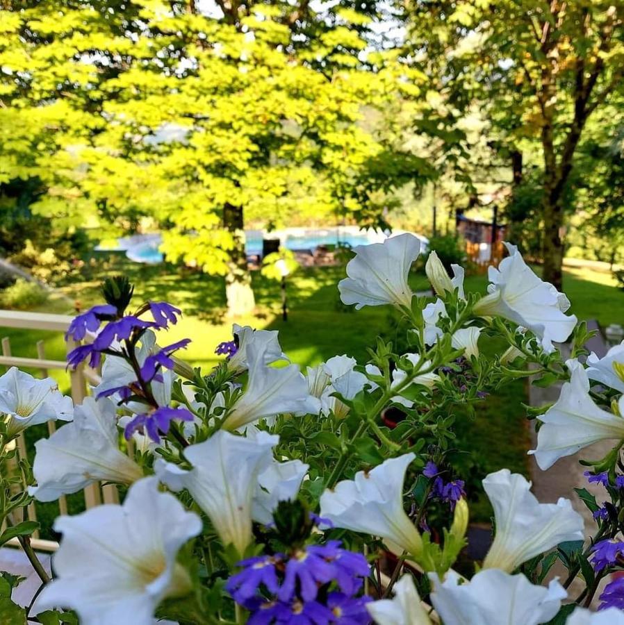 Villa Giuliana B&B Scarperia Zewnętrze zdjęcie